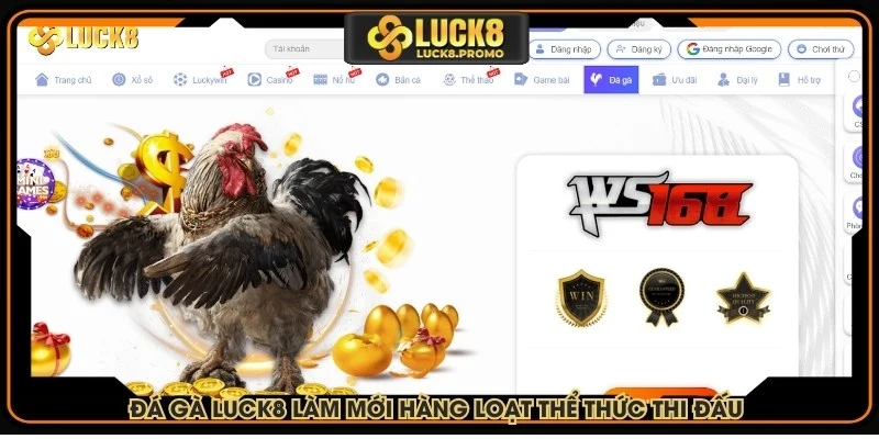 Đá gà LUCK8 làm mới hàng loạt thể thức thi đấu phong phú