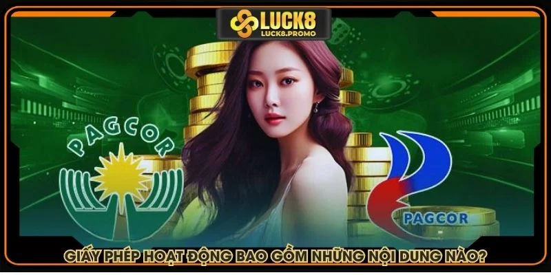 Giấy phép hoạt động bao gồm những nội dung nào?