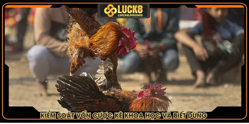 Kiểm soát vốn cược kê khoa học và biết dừng rất quan trọng