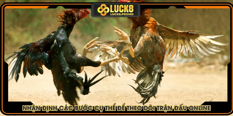 Nhận định các bước cụ thể để theo dõi trận đấu online