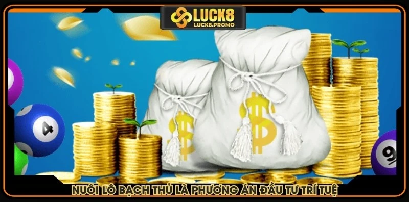 Nuôi lô bạch thủ là phương án đầu tư trí tuệ, hiệu quả cực cao