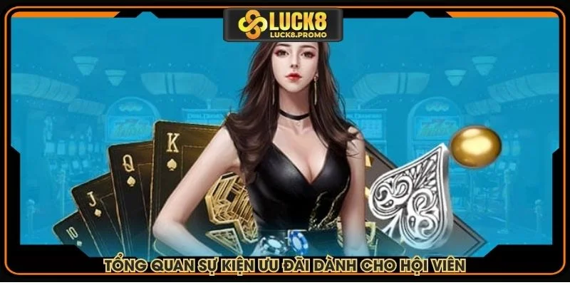 Tổng quan sự kiện ưu đãi dành cho hội viên